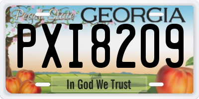 GA license plate PXI8209