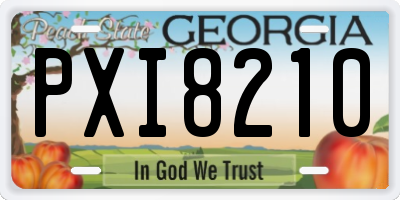 GA license plate PXI8210