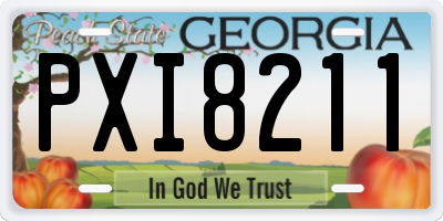 GA license plate PXI8211