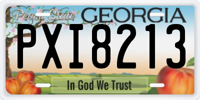 GA license plate PXI8213