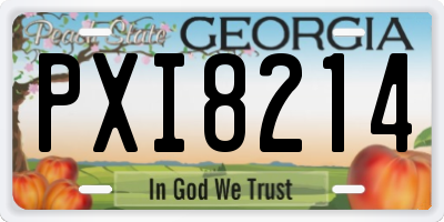 GA license plate PXI8214