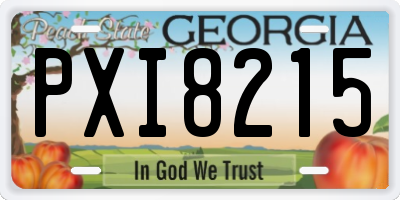 GA license plate PXI8215