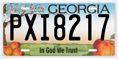 GA license plate PXI8217
