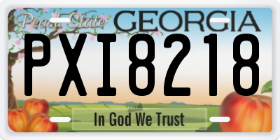 GA license plate PXI8218