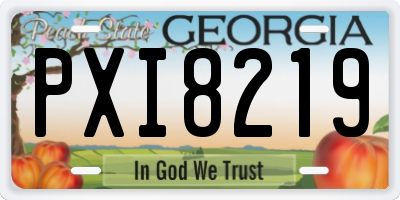 GA license plate PXI8219
