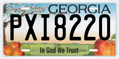 GA license plate PXI8220