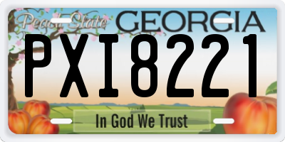 GA license plate PXI8221