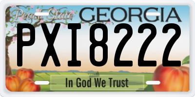 GA license plate PXI8222