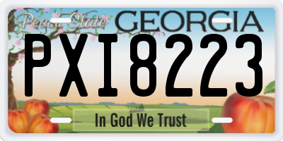 GA license plate PXI8223