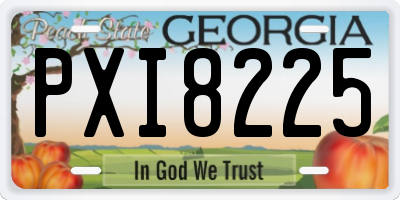 GA license plate PXI8225