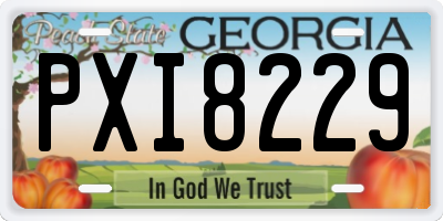 GA license plate PXI8229
