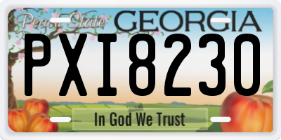 GA license plate PXI8230
