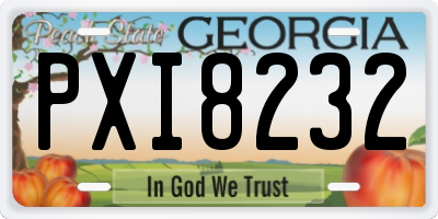 GA license plate PXI8232