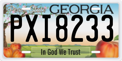 GA license plate PXI8233