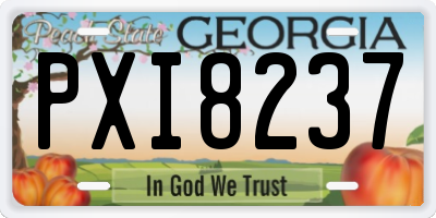 GA license plate PXI8237