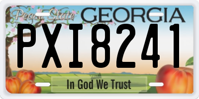 GA license plate PXI8241