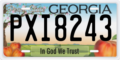 GA license plate PXI8243