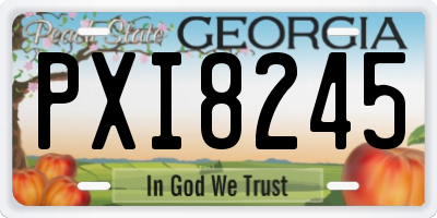 GA license plate PXI8245