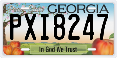 GA license plate PXI8247