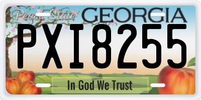 GA license plate PXI8255