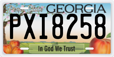 GA license plate PXI8258