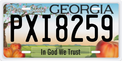 GA license plate PXI8259