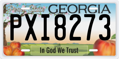GA license plate PXI8273