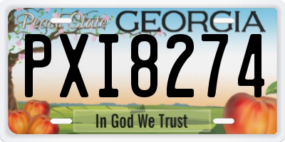 GA license plate PXI8274