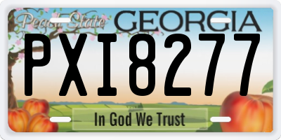 GA license plate PXI8277
