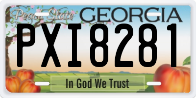 GA license plate PXI8281