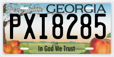 GA license plate PXI8285