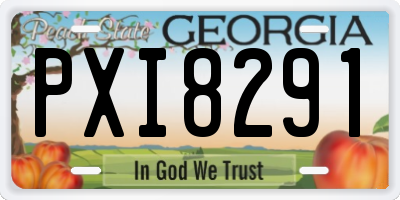 GA license plate PXI8291
