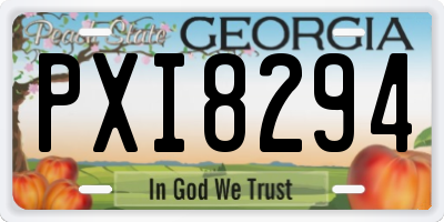 GA license plate PXI8294