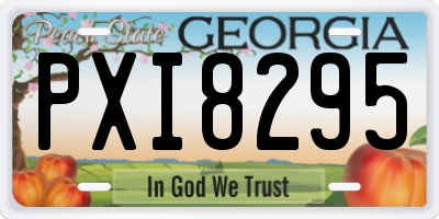 GA license plate PXI8295
