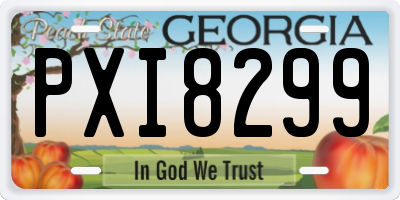 GA license plate PXI8299