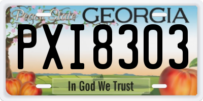 GA license plate PXI8303