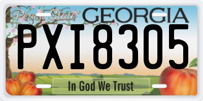 GA license plate PXI8305