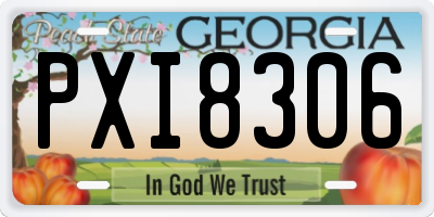 GA license plate PXI8306