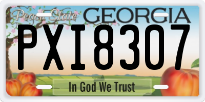 GA license plate PXI8307