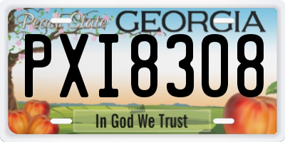 GA license plate PXI8308