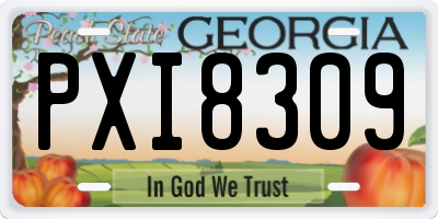 GA license plate PXI8309