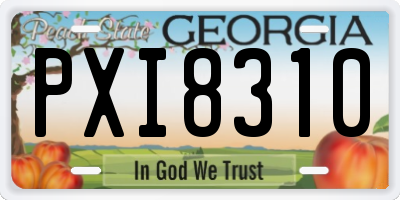 GA license plate PXI8310