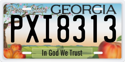 GA license plate PXI8313