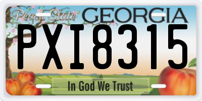 GA license plate PXI8315