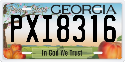 GA license plate PXI8316