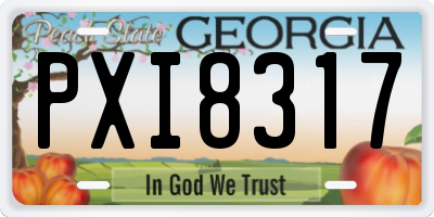 GA license plate PXI8317