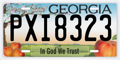 GA license plate PXI8323