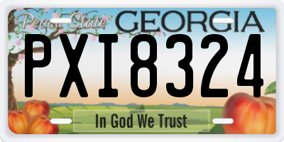 GA license plate PXI8324