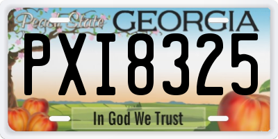 GA license plate PXI8325