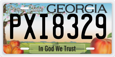GA license plate PXI8329